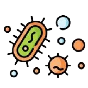 Capture-removebg-preview Capture-removebg-preview